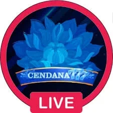 cendana777 Terbaru: Download APK Resmi dan Aman dan kudetabet98: Rangkuman Brand yang Banyak Dicari